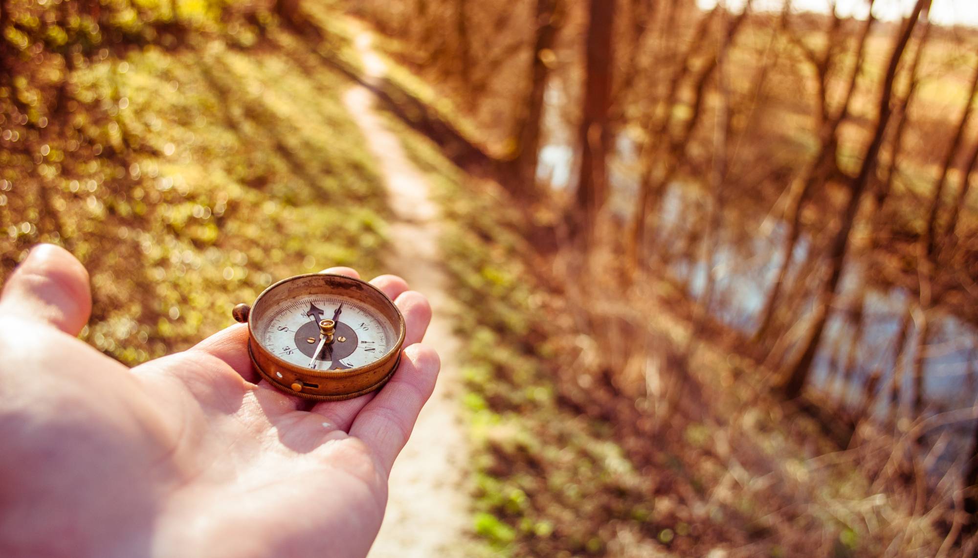 Compass in hand showing direction through autumn forest